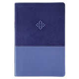 Amplified Study Bible Purple (Imitation Leather)