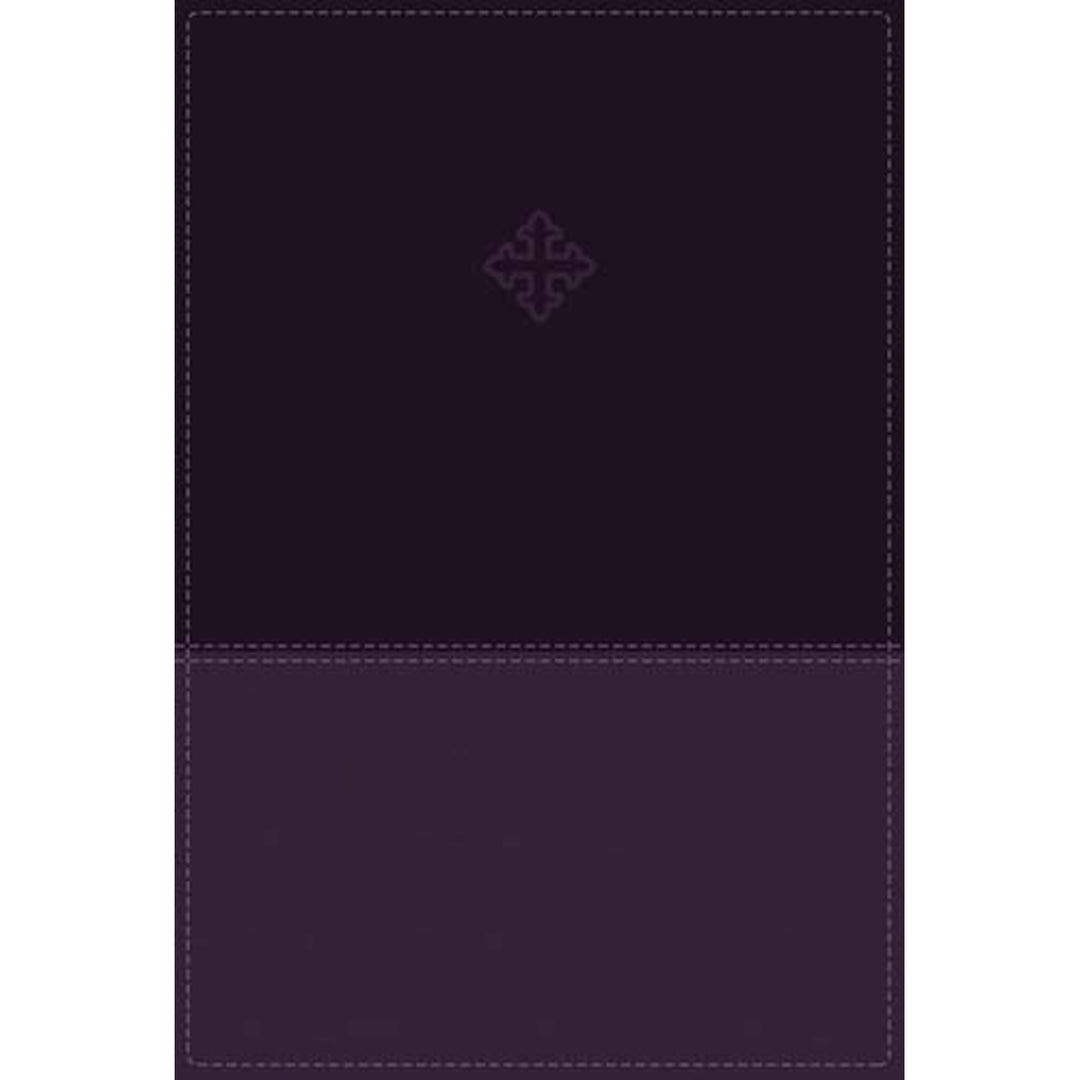 Amplified Study Bible Purple (Imitation Leather)