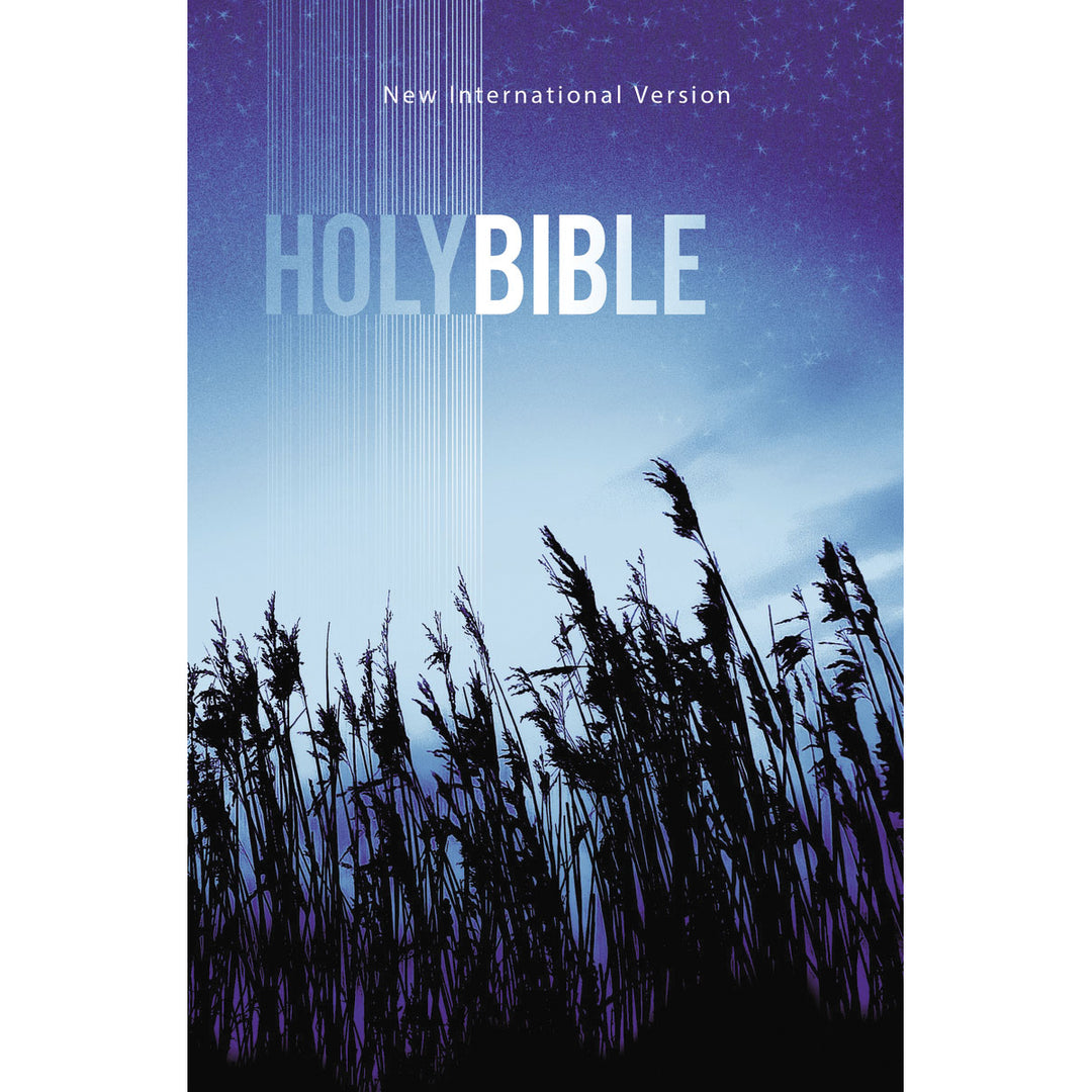 NIV Value Outreach Bible Blue Wheat (Paperback)