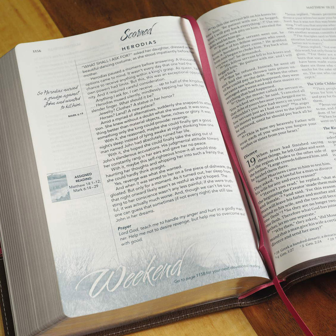 NIV Brown & Pink Faux Leather Women's Devotional Bible Large Print