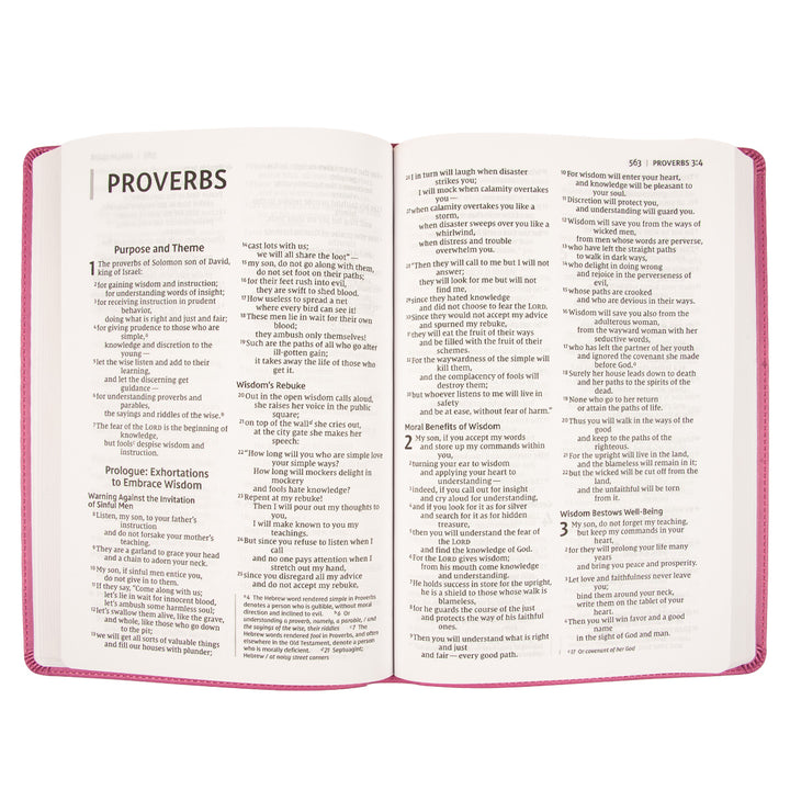 NIV Value Thinline Bible Large Print Pink (Comfort Print)(Imitation Leather)