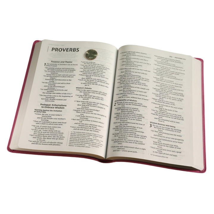 NIV Value Thinline Bible Large Print Pink (Comfort Print)(Imitation Leather)