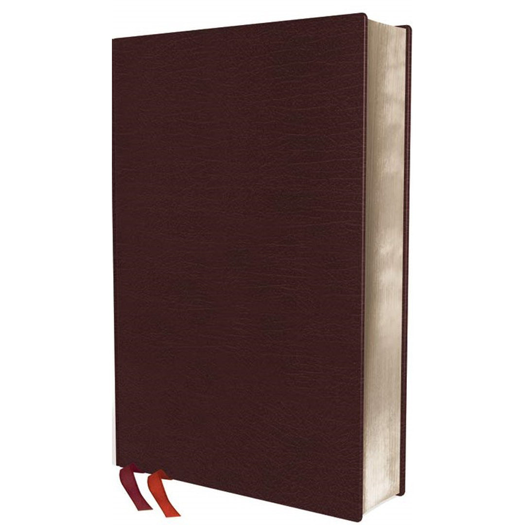 NIV Thinline Bible Giant Print Burgundy Red Letter Edition(Comfort Print)(Bonded