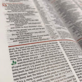 NIV Study Bible Revised Edition Red Letter (Comfort Print)(Hardcover)