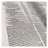 NIV Study Bible, Fully Revised Edition, Large Print, Red Letter (Comfort Print)(Hardcover)