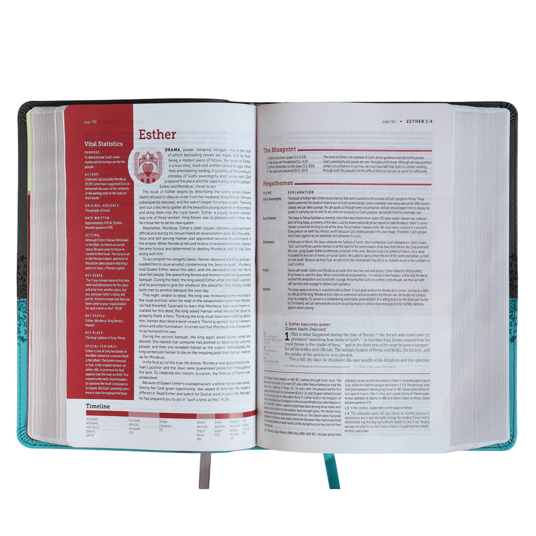 NIV Life Application Study Bible 3rd Edition P / Size Red Let Gray (Imitation Leather)