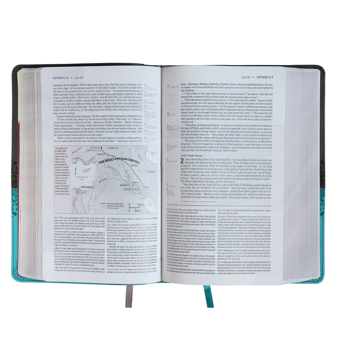 NIV Life Application Study Bible 3rd Edition P / Size Red Let Gray (Imitation Leather)