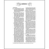 NIV Artisan Collection Red Letter Floral Bible Blush (Comfort Print)(Imitation Leather)