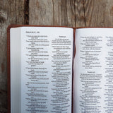 NIV Thinline Pocket Bible Red Letter Brown (Imitation Leather)