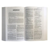 NIV Basic Study Bible, Economy, Blue, Red Letter (Paperback)