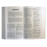 NIV Basic Study Bible, Economy, Blue, Red Letter (Paperback)