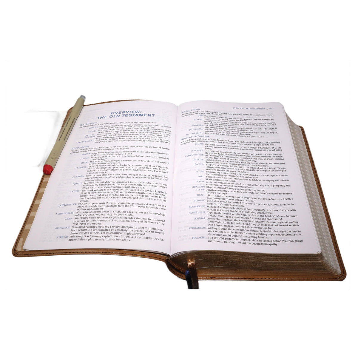 NIV Tan Imitation Leather Personal Size Student Bible Comfort Print 