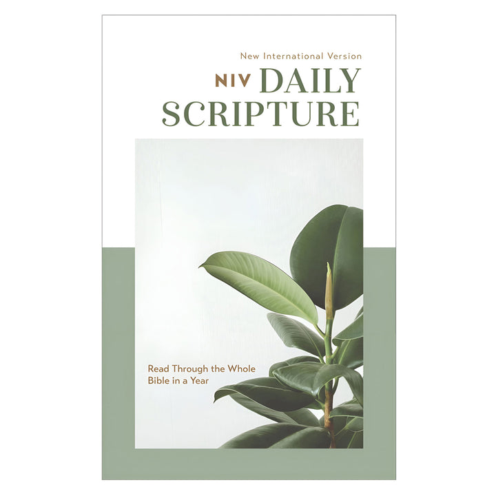 NIV White and Sage Paperback Daily Scripture One Year Bible Comfort Print