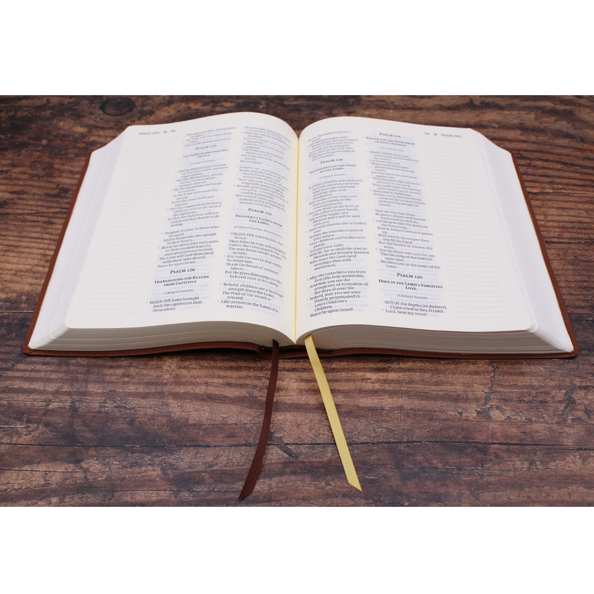 FMWオフィシャル・ビデオ(32)～FMW HARD CORE BIBLE～究… Amplified Brown Imitation Leather Journal the Word Bible – CUM Books