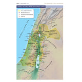 NIV Coral and Grey Imitation Leather Application Bible Comfort Print