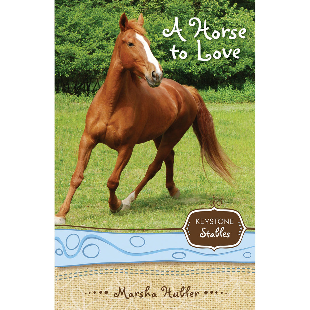 A Horse To Love (1 Keystone Stables)(Paperback)