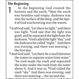 NIV Childrens Holy Bible (Paperback)