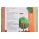 NIRV Hardcover Seek and Explore Holy Bible