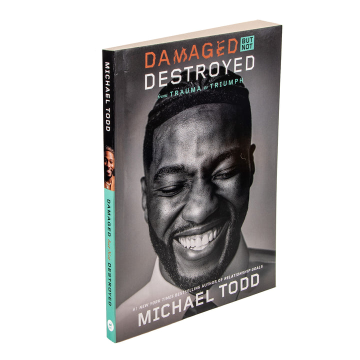 Damaged But Not Destroyed: From Trauma To Triumph (Paperback)