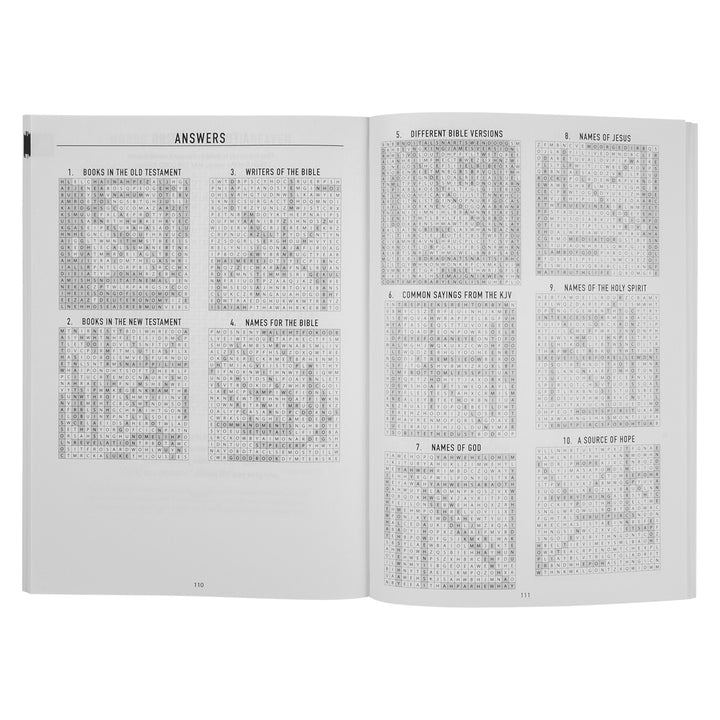 Bible Word Searches (Paperback)