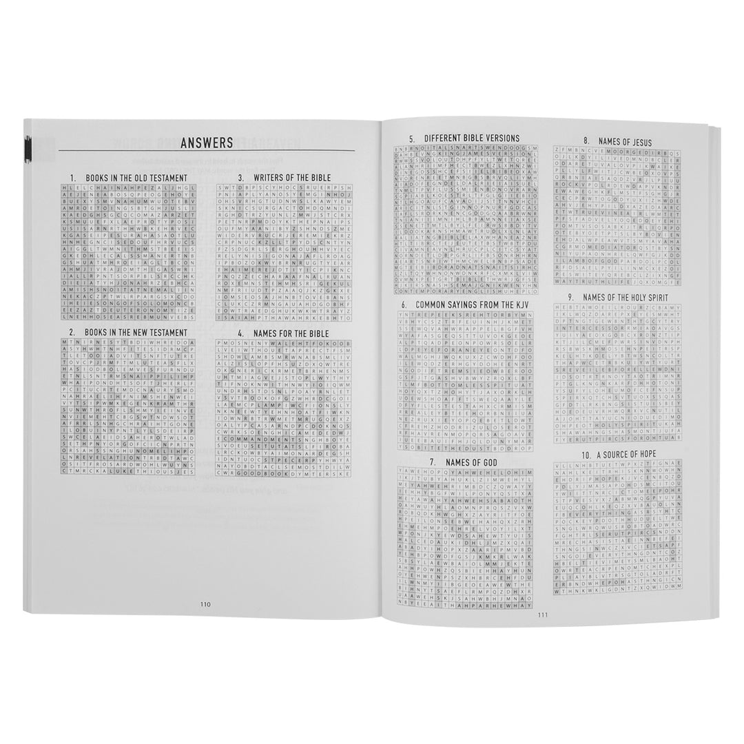 Bible Word Searches (Paperback)