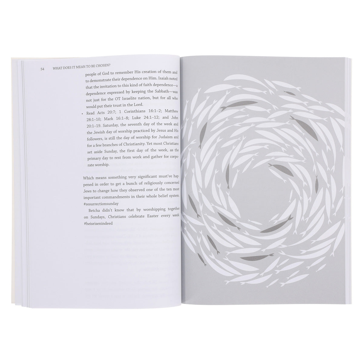 What Does It Mean To Be Chosen: Bible Study based on The Chosen Season 1 PB