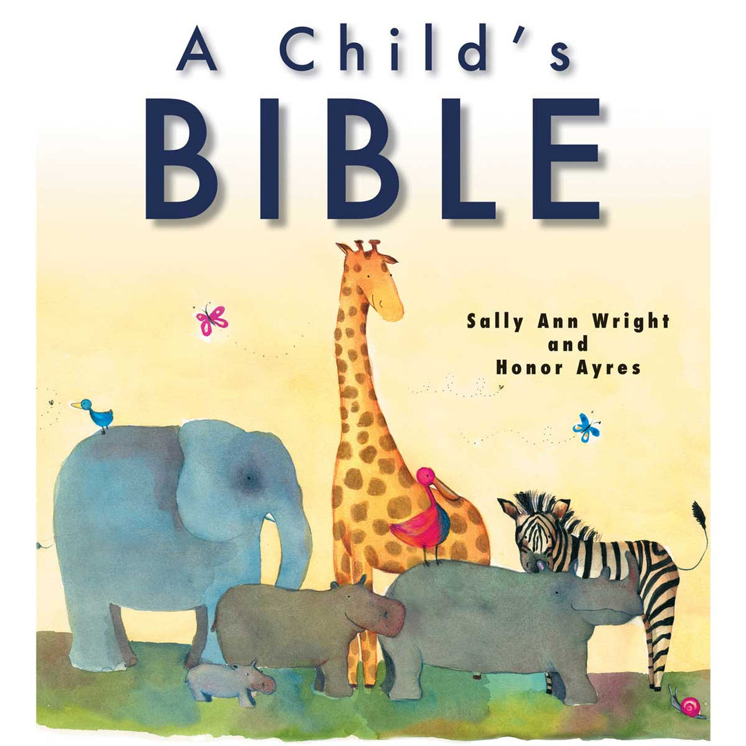 A Child's Bible (Paperback)