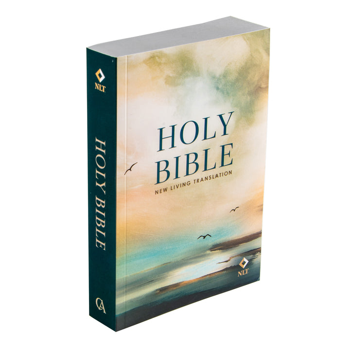 NLT Morning Sky Paperback Handy Size Bible