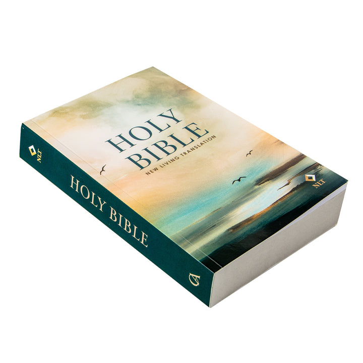 NLT Morning Sky Paperback Handy Size Bible