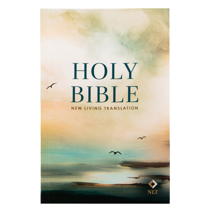 NLT Morning Sky Paperback Handy Size Bible