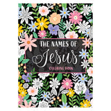 The Names of Jesus Coloring Book (Paperback)