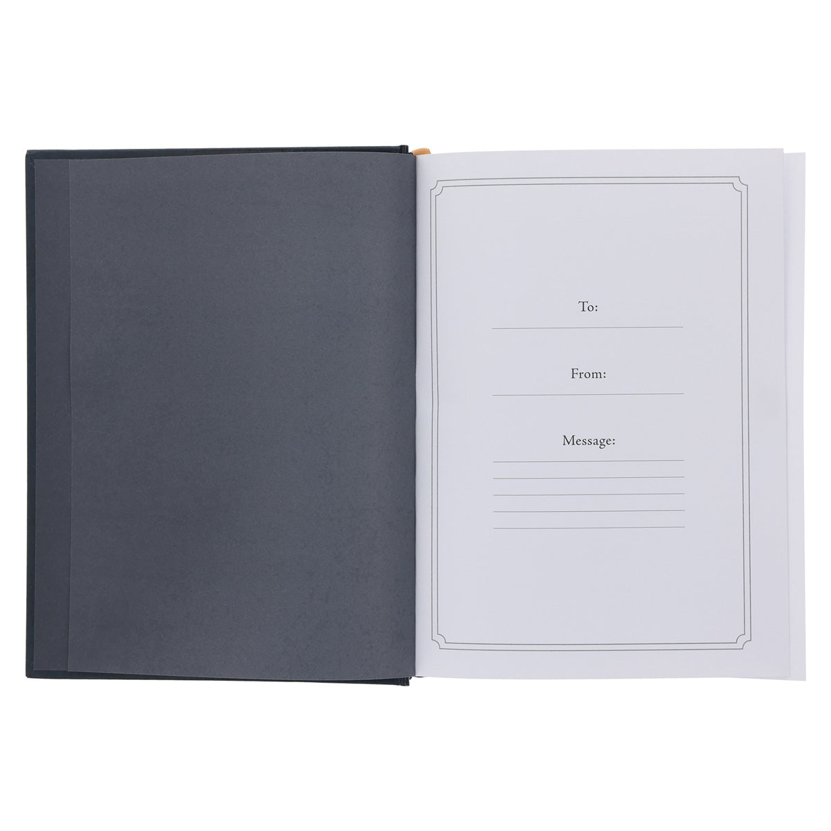 Walk Through God's Word: A 365-Day Journey Through the Bible (Hardcover)