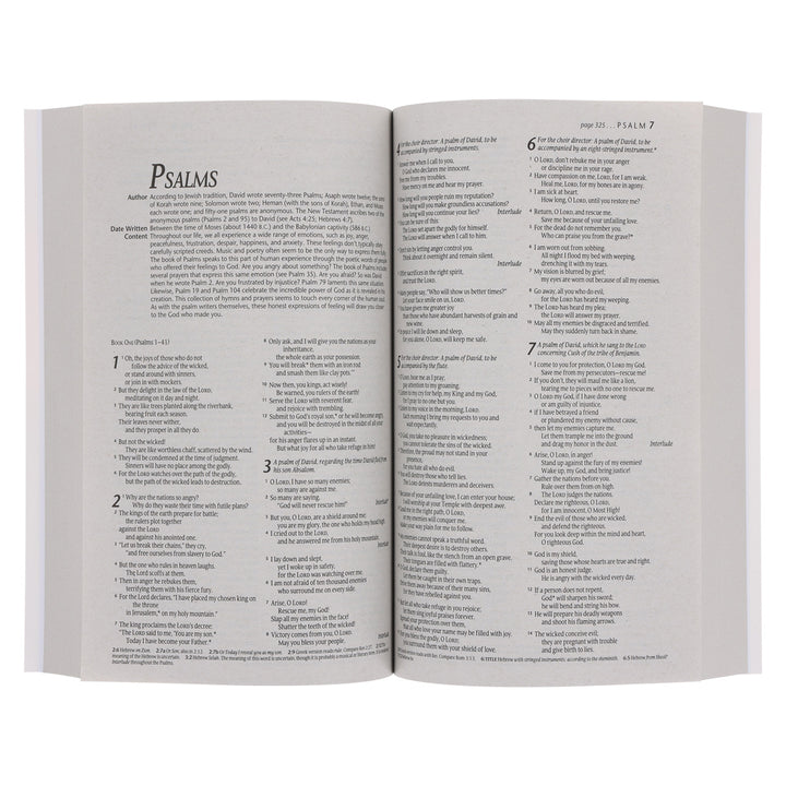 NLT Ocean Paperback Outreach Bible