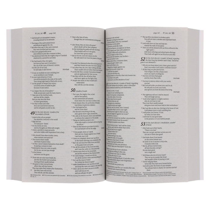 NLT Ocean Paperback Outreach Bible
