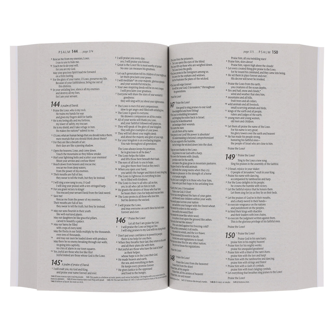 NLT Ocean Paperback Outreach Bible