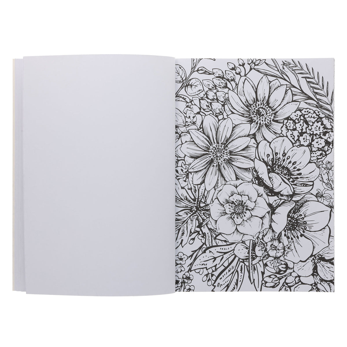 Pray Wait Trust Coloring Book (Paperback)
