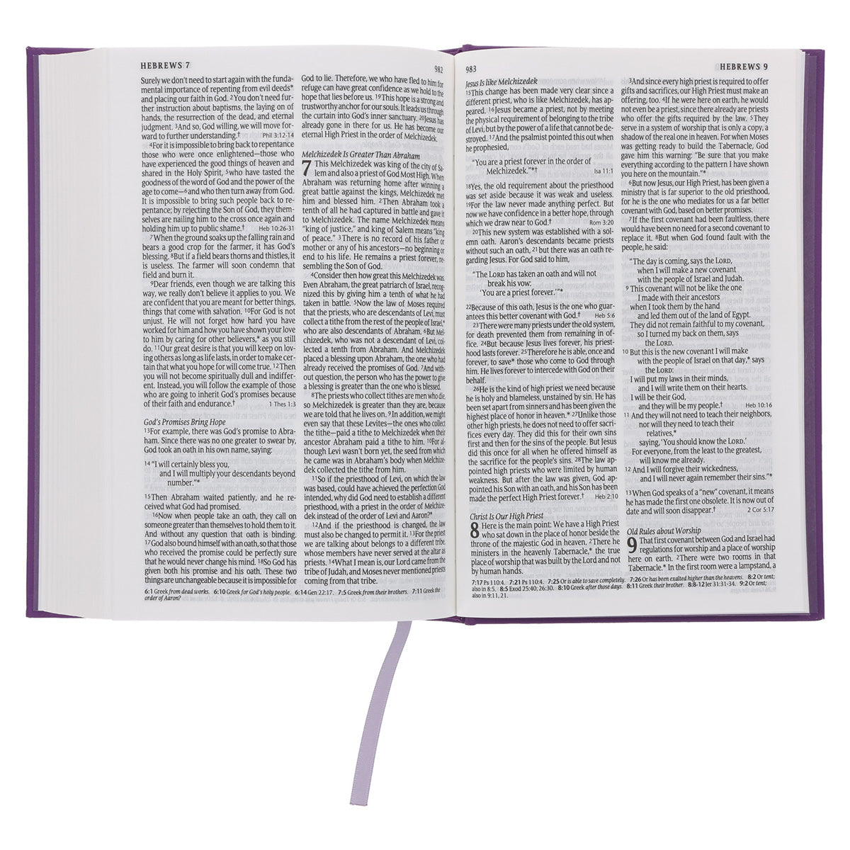 NLT Purple Hardcover Standard Bible