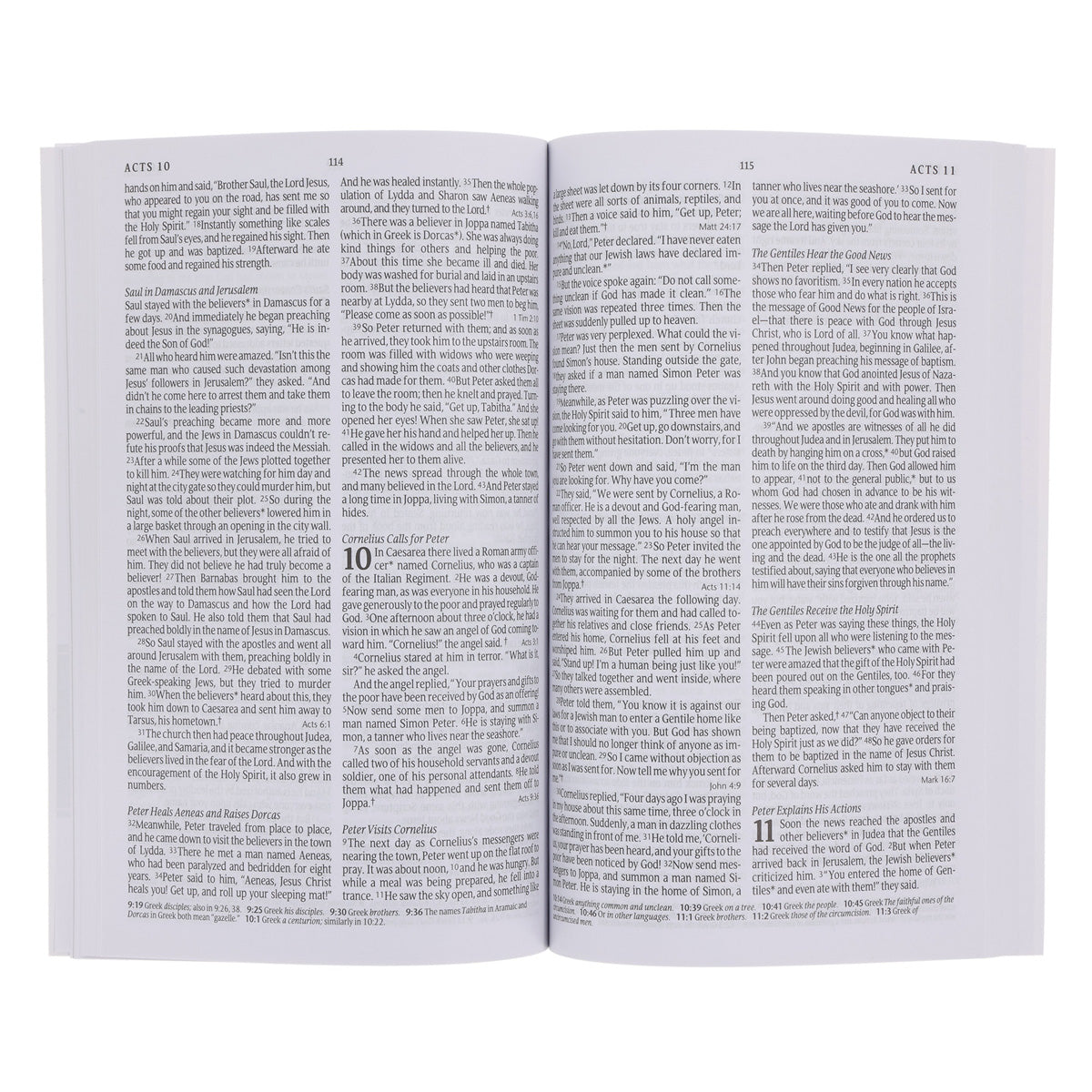 NLT Ocean Sunrise Paperback Outreach New Testament Bible