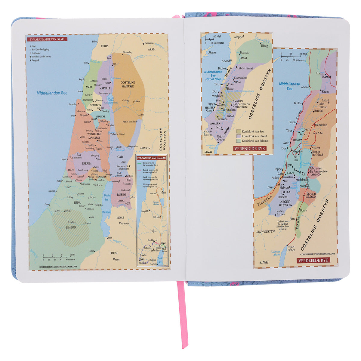 NLV Ligblou Met Pienk Blomme Kunsleer Standaard Bybel Met Duimgrepe