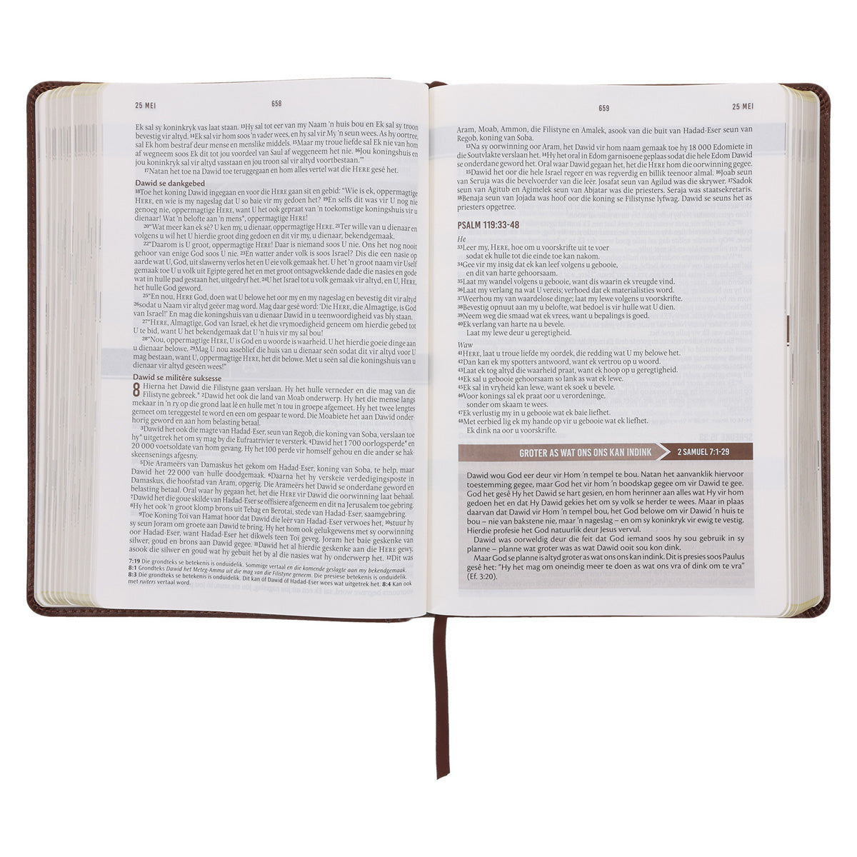 NLV Bruin Kunsleer Stiltetydbybel vir Mans