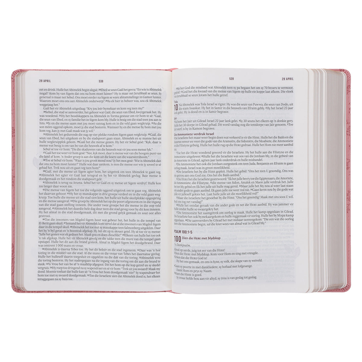 NLV Ligpienk Proteas Kunsleer Stiltetydbybel vir Vroue