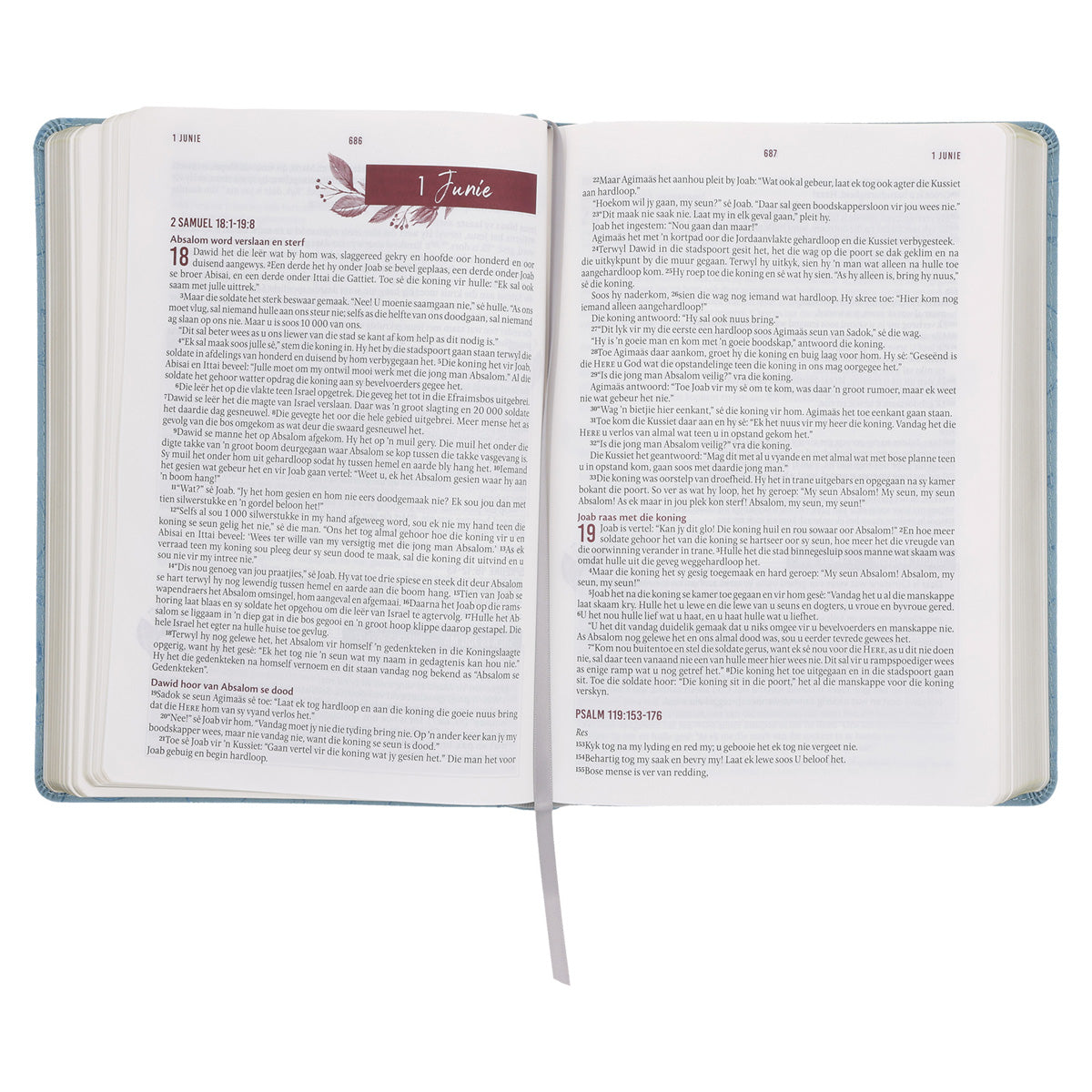 NLV Blougrys Kunsleer Stiltetydbybel vir Vroue