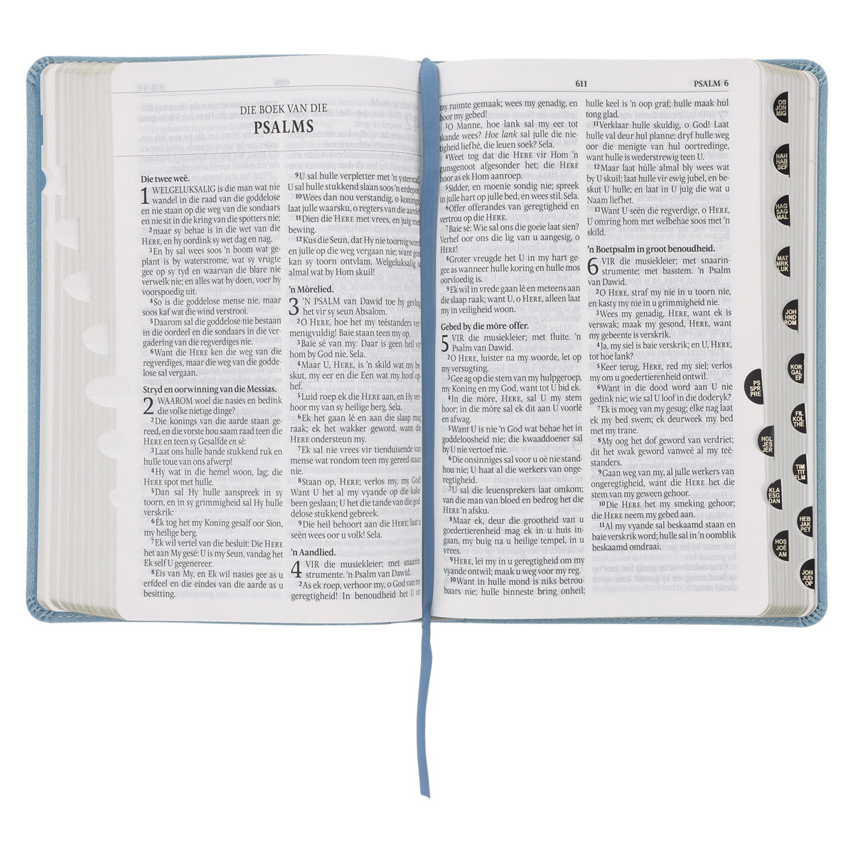 Afrikaans 1933/1953 Vertaling Ligblou Kunsleer Bybel