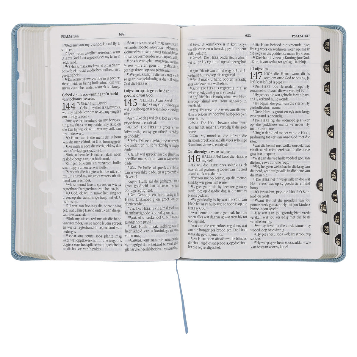 Afrikaans 1933/1953 Vertaling Ligblou Kunsleer Bybel