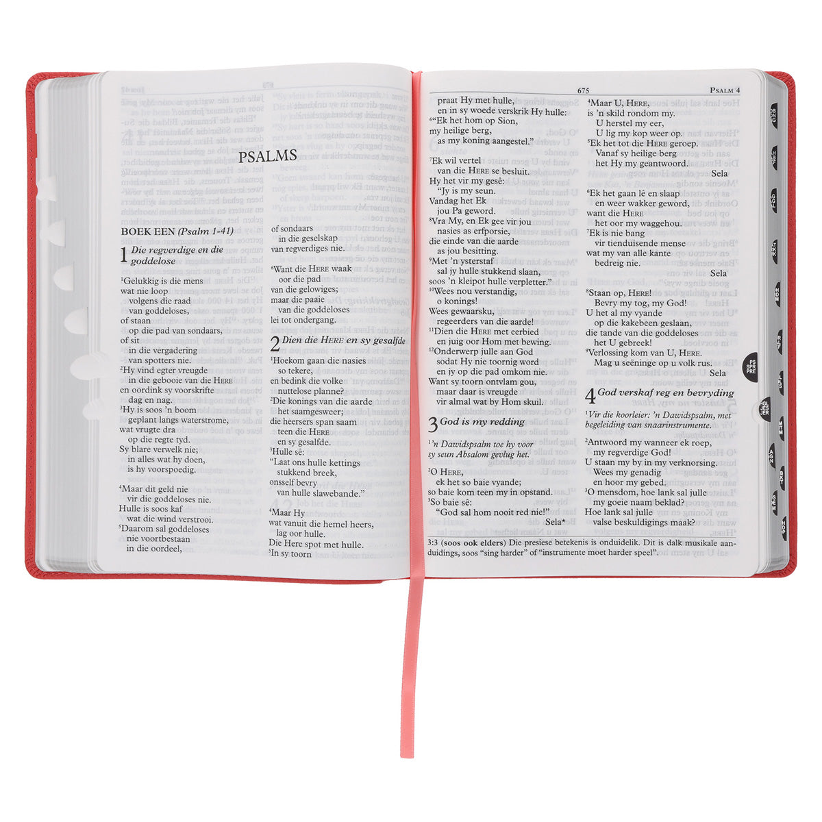 NLV Koraal Egte Leer Grootdruk Bybel