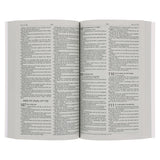 NLV Pienk Berge Sagteband Uitreikbybel