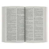 NLV Pienk Berge Sagteband Uitreikbybel