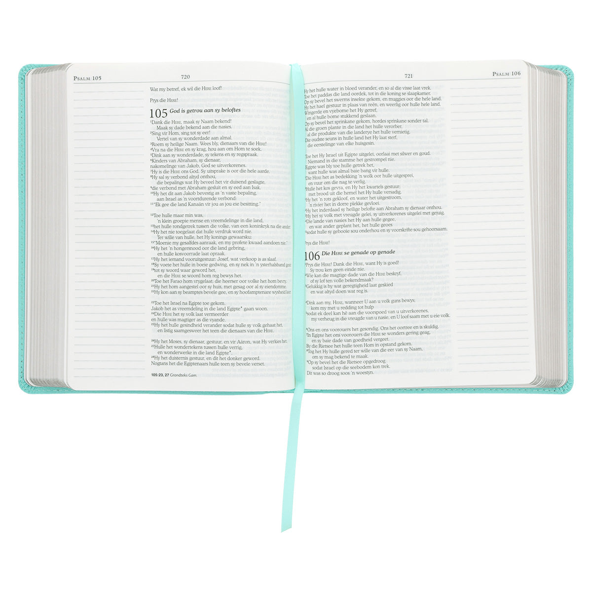 NLV Seegroen Egte Leer Joernaal-Bybel