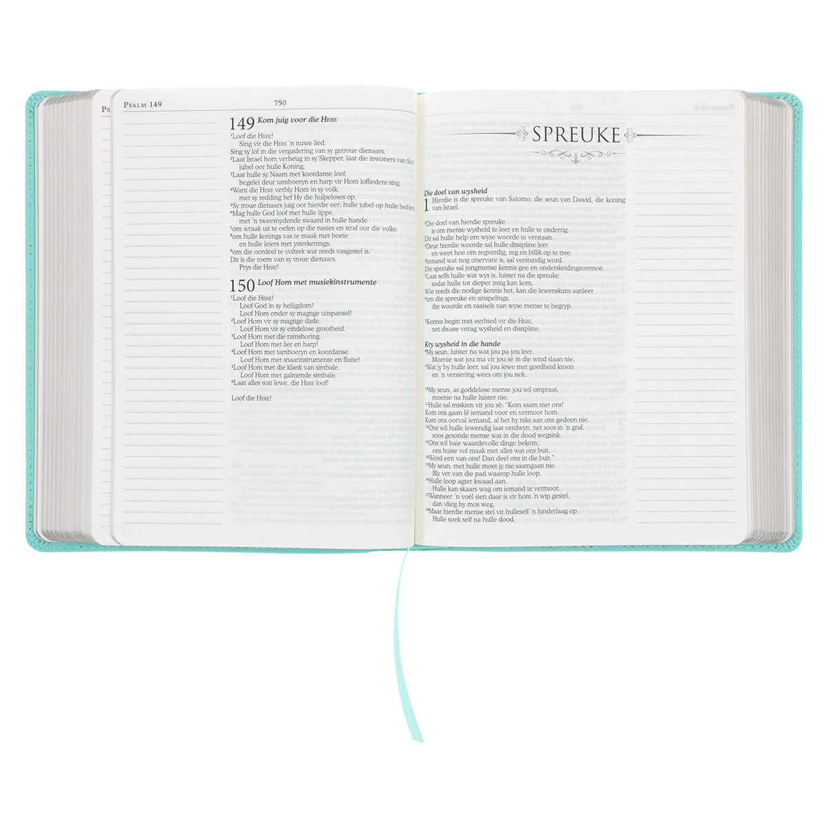 NLV Seegroen Egte Leer Joernaal-Bybel