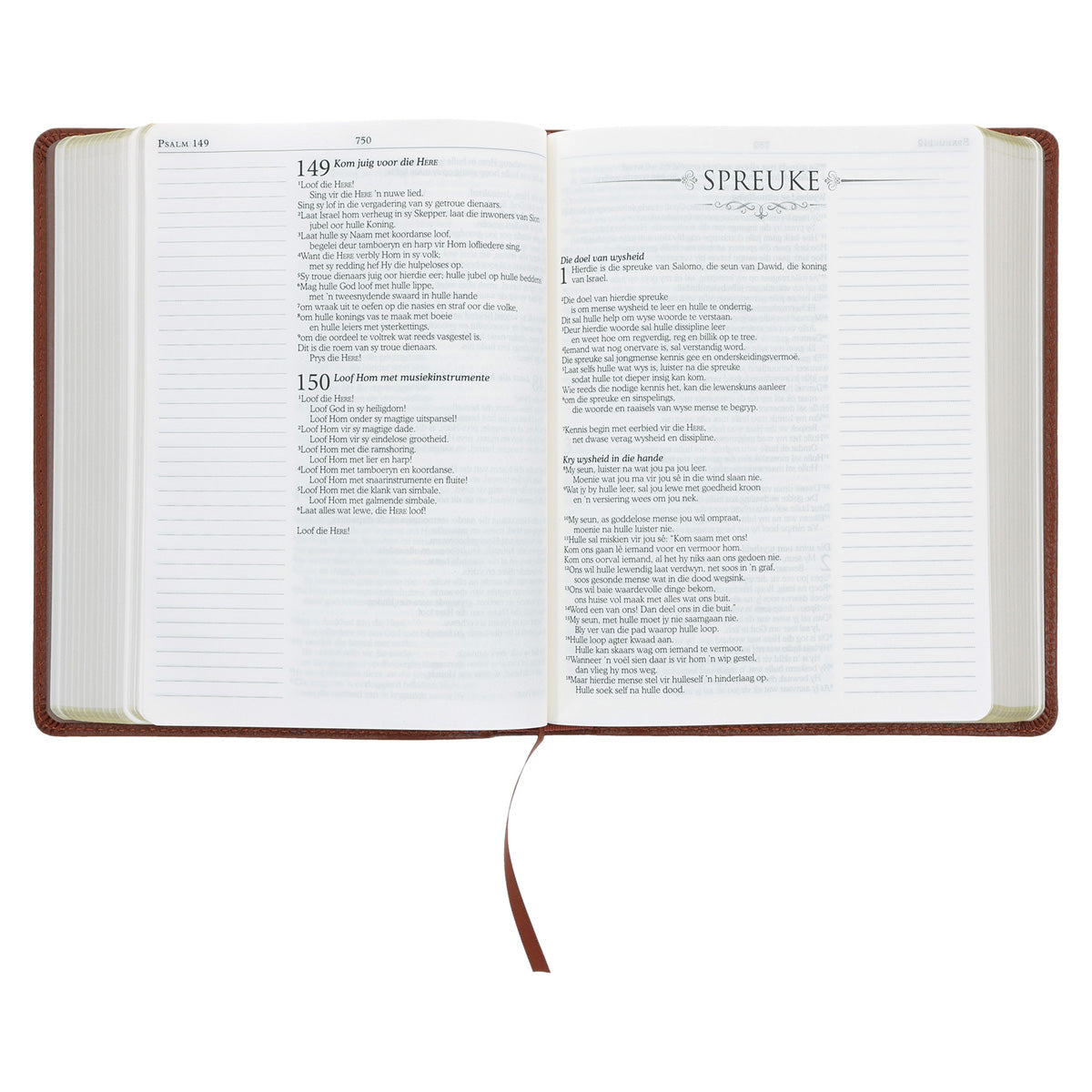 NLV Bruin Egte Leer Joernaal-Bybel